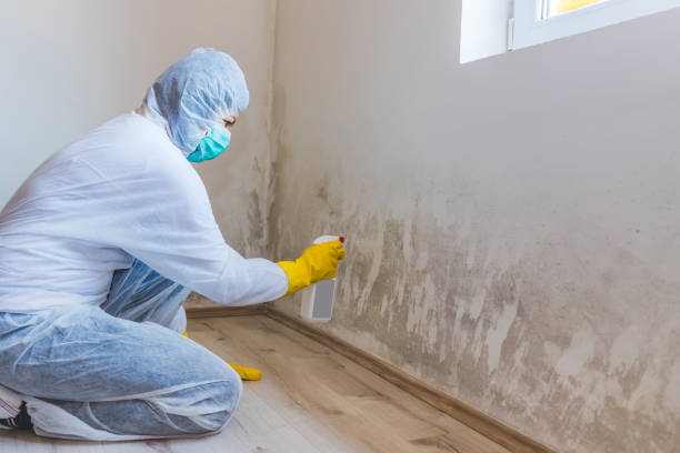 Mold Remediation specialist working in Langhorne