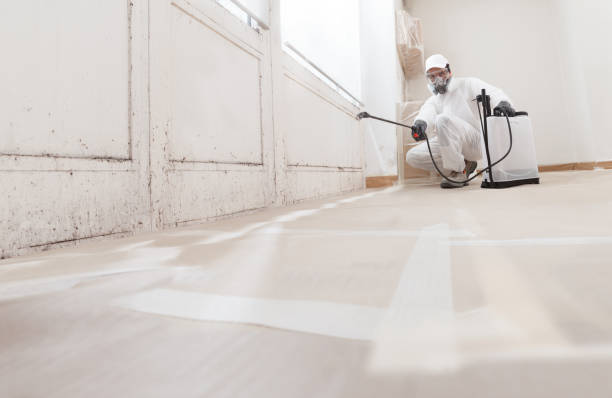 Black mold remediation team in Langhorne